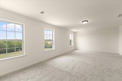 Juniper Owner's Suite. 3,307sf New Home in Easton, PA