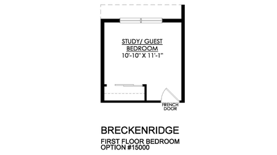 Optional First Floor Bedroom. 3,117sf New Home in Schnecksville, PA